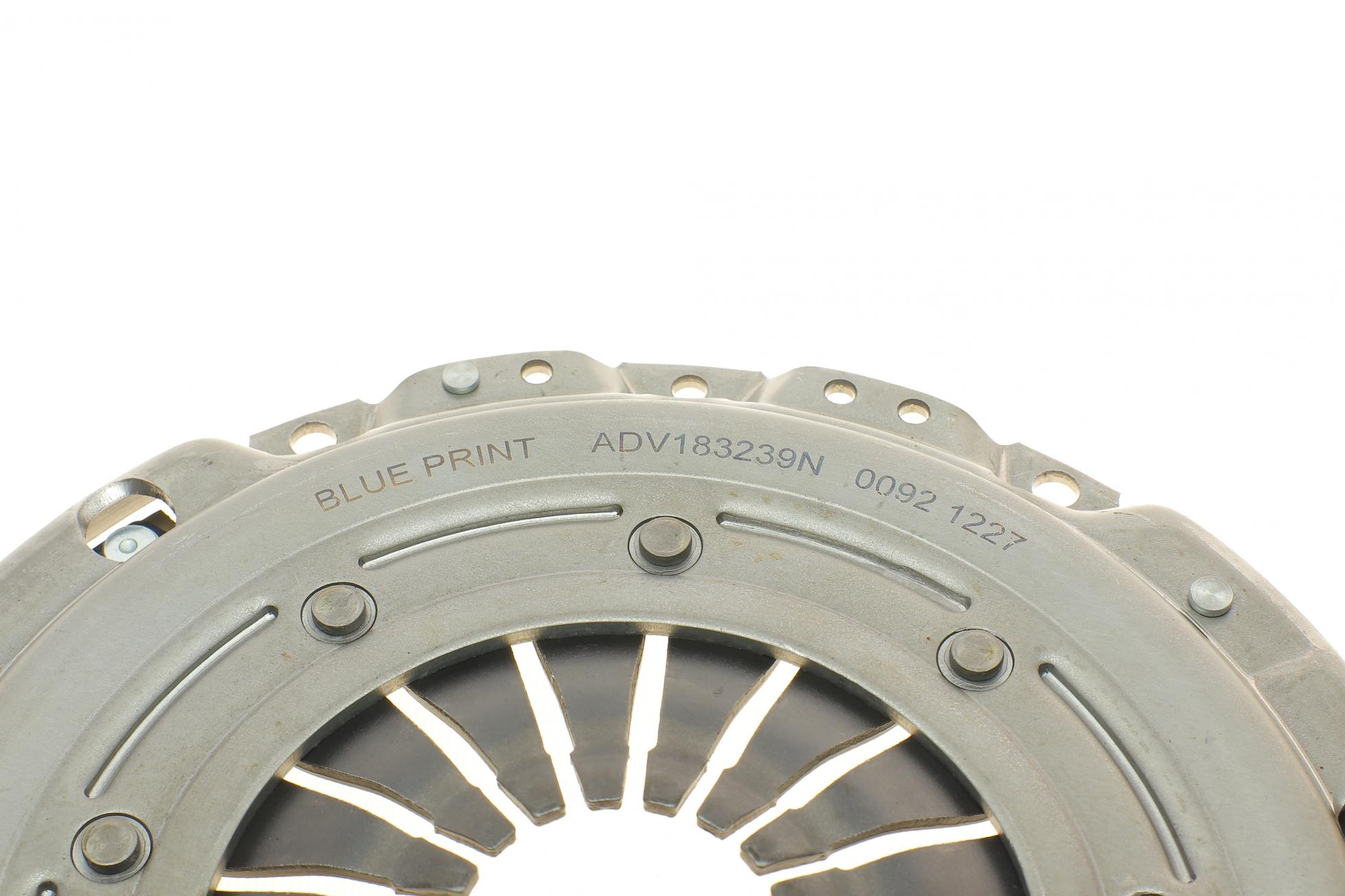 ADV183089 BLUE PRINT
